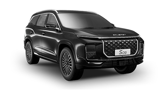 Soueast S09 2.0 AT Premium